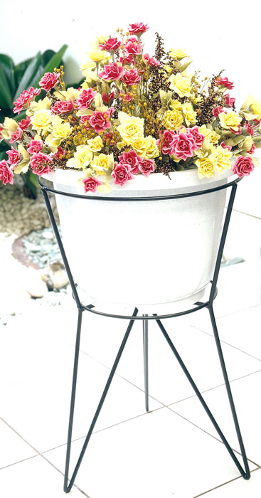 Senwell product